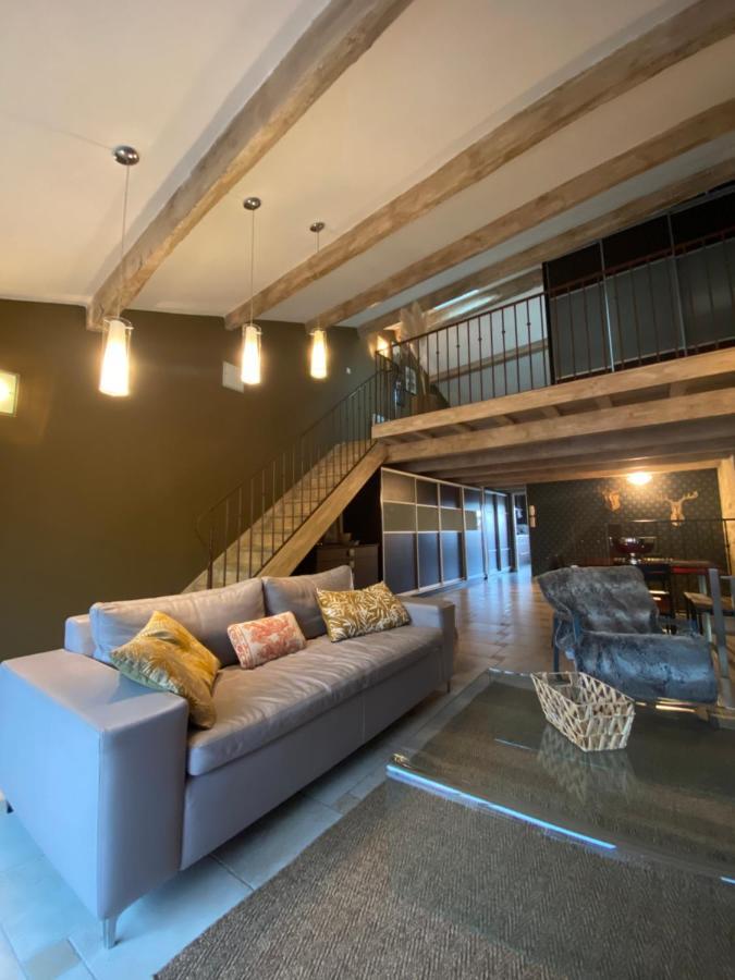 Le Loft Duplex, 2 Terrasses, Au Coeur Du Village Saint-Rémy-de-Provence Eksteriør bilde